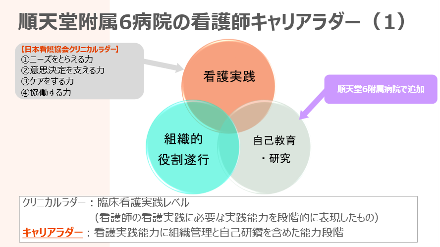 順天堂越谷病院　キャリアラダー